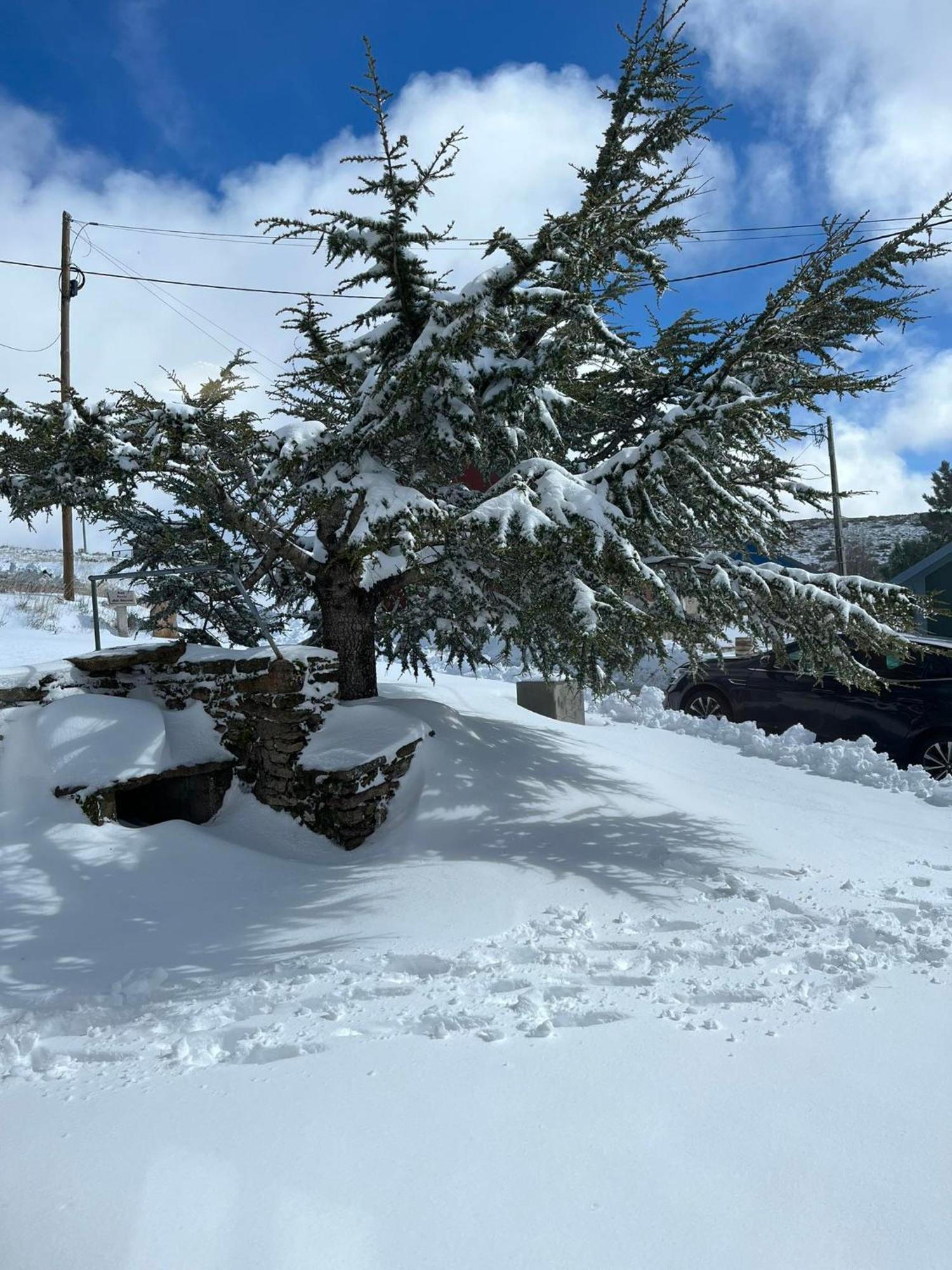 Casa Dos Pinheiros - Serra Da Estrela Penhas da Saúde エクステリア 写真
