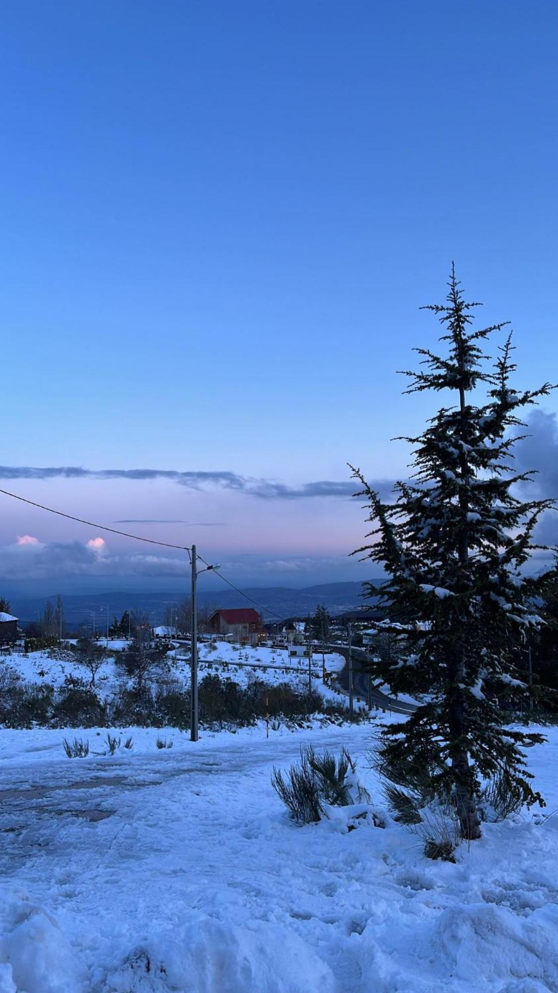 Casa Dos Pinheiros - Serra Da Estrela Penhas da Saúde エクステリア 写真
